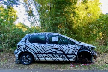 voiture abandonnée oeuvre street art moyoshi la reunion Peugeot